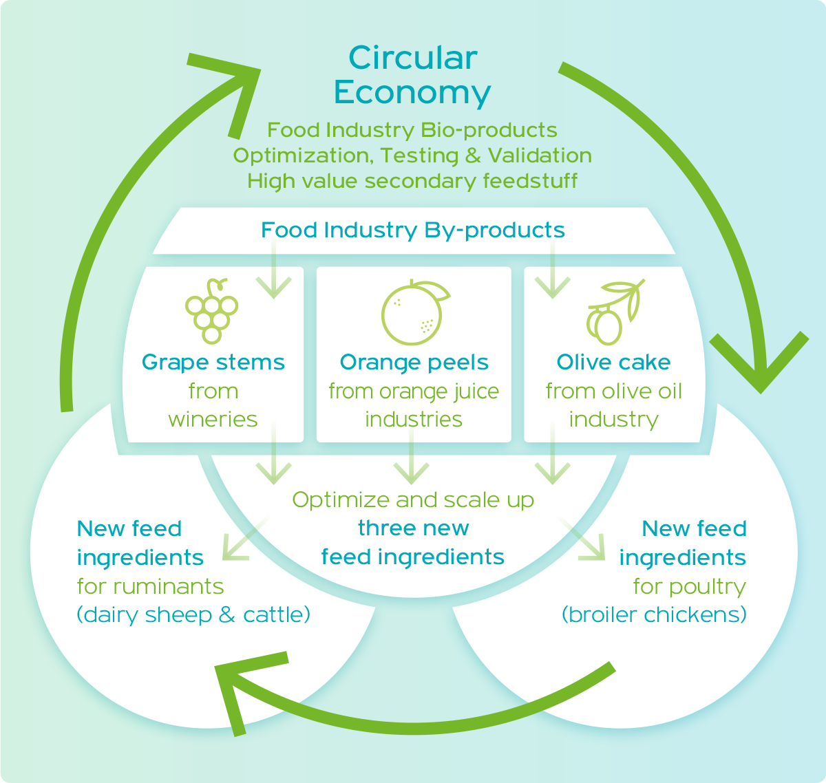 Newfeed_Circular Economy